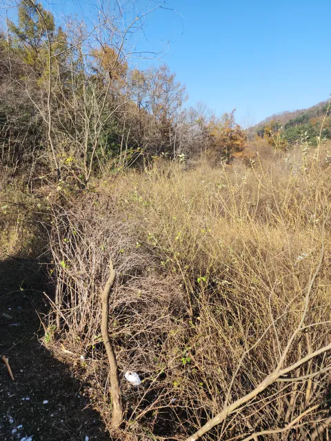 가설시설물철거 산재보험 관련 사진